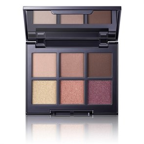 Kevyn Aucoin Палетка для глаз Medium Deep 2417